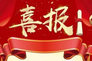 关于2022年度人力资源服务评选结果的通报，祝贺开云online（中国）集团