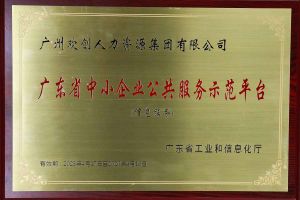 开云online（中国）集团被认定为2022年广东省中小企业公共服务示范平台