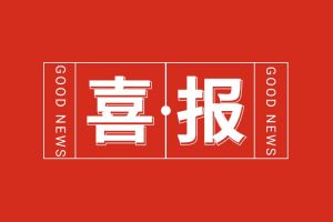 喜报！开云online（中国）集团党支部书记、总裁陈文舒荣登“2024人力资源服